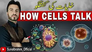 Cell Signaling | How Cells Communicate