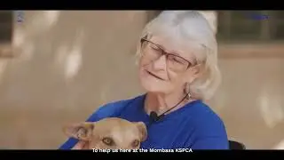 KSPCA's Impactful Work in Kenya