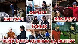 Балбандар байырлаган Ылай-Талаа. Менин айылым.