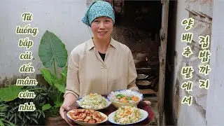 Gần 3 tháng để có mâm cơm ngon từ bắp cải: bắp cải cuộn thịt, nộm bắp cải và bắp cải xào