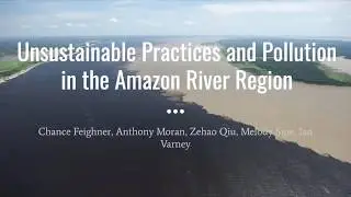 Unsustainable Practices and Pollution in the Amazon River Region