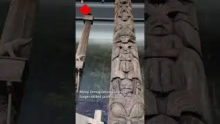 Problems Of Immigration To Canada