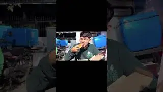 5 star dominoes vs 1 star dominoes
