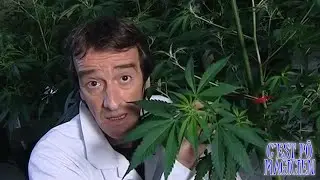 C'EST P&Ocirc; MAGICIEN - (FRED ET JAMY EN QU&Eacute;B&Eacute;COIS)