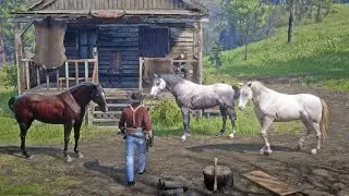 Low Honor John Marston Steals Andalusian Horses Near Valentine | RDR2 Horse Theft