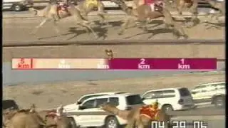 غلا / لـ مآلكهـا  ، عيد بن نجم العطوي   × تبوك