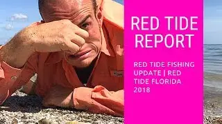 Red Tide Fishing Report | Florida Red Tide 2018 | Red Tide Fishing?