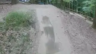 Empuru jump line at Wind Hill