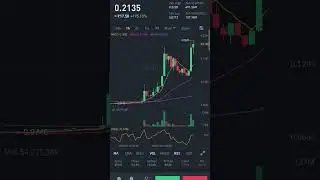 PHA/BUSD 174% High in 1 hour #shorts