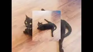 defaced intro - removeface ( sped up )