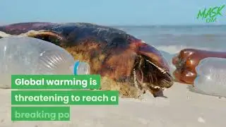 Plastic Pollution&rsquo;s Contribution to Climate Change and Global Warming.mp4