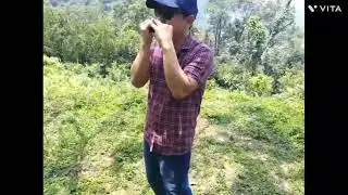 ALWAYS REMEMBER US THIS WAY   (Lady Gaga) !!  Harmonica cover Version...