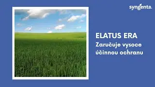 ELATUS Era - technick&eacute; přednosti | Syngenta Česk&aacute; republika