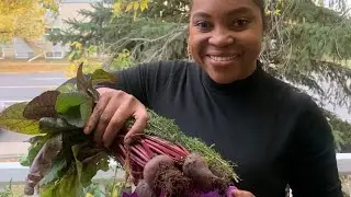 Saying Goodbye to My Garden 😭 || It is Getting too Cold ❄️🥶