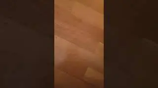 Day 402 of posting floors. #daily #floor #like #viral #funny #subscribe