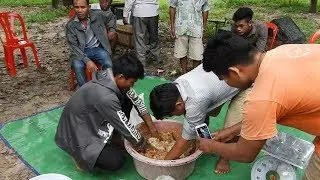 How to make bee bread | Trainees learning How to make artificial pollen | ការចិញ្ចឹមឃ្មុំ