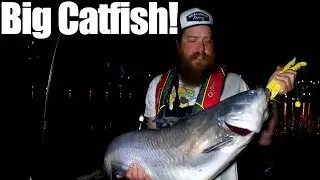 Can I catch Big Catfish On Bass Fishing Gear? Chatt Cats Challenge!