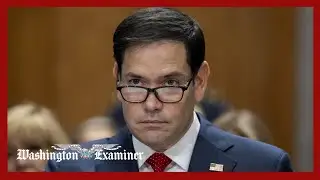 Marco Rubio appears before Senate panel on Venezuela