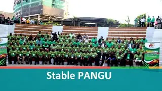 Stable PANGU
