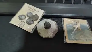 meus novos f&oacute;sseis: trilobita gerastos, trilobita phacops e dente de tubar&atilde;o
