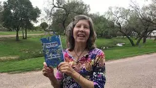A bee outtake! Plum Delight: Poetry Of The Earth