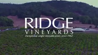 Grape to Glass at Lytton Springs