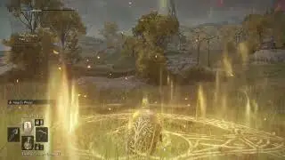 Elden Ring : lvl 230 buffadin 1v1