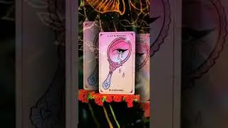 🌹Heartbreaker, you got the best of me&hellip;💔 #tarotweekly #shortsvideo