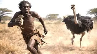 Life 4.8 Million Years Ago | Early Humans Chased by Giant Birds