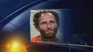 Suspect in hammer attack ducks court