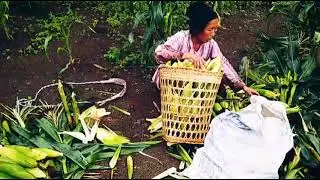 Kolbu Nehphat hita Dt 26 june 2021