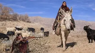 &ldquo;Nomadic Woman Herding Sheep During Severe Drought | Searching for Grass in Dry Mountains&rdquo;