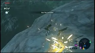 Shield Surfing BOTW (Best of the Worst) BOTW (Breath of the Wild)