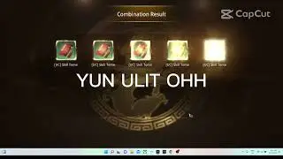 MIR4 BUG