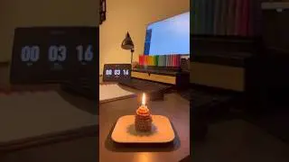 Study with me until the candle dies out - pinecone