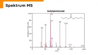 ANALISIS SPEKTRUM IR, NMR, DAN MS SERTA POLA FRAGMENTASI BUTYL PENTANOATE - Hamdan Malik (F1C122048)
