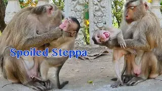Very Loudly Crying Shaking Body Spoiled Steppa Got Discipline To Wean By Stephenie