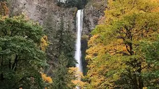 Latourell Falls (4K) Waterfall in Oregon (White Noise) Rest/Study/Meditate