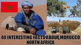 40 INTERESTING FACTS ABOUT MOROCCO NORTH AFRICA # 49