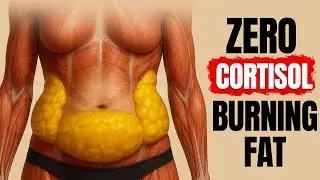 How to Force Your Body to Burn Visceral Fat (Drop Cortisol)