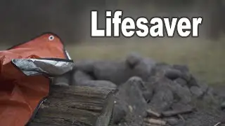 This ACTUALLY works!!? #survival