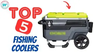 Best Fishing Coolers buying guide | Top 5 Fishing Coolers in 2023