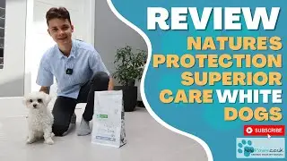 Nature's Protection Dog Food: A Game-Changer for Dogs with Tear Stains?