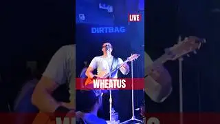 Everyone Knows This Chorus | Wheatus &ndash; Teenage Dirtbag (Live)