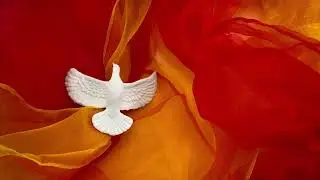 The Depth of Grace | A Prayer on Faith, Costly Grace, and Salvation