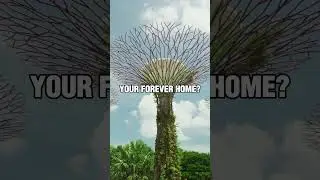 Is Singapore More Than Just Work? Make It Home with PR