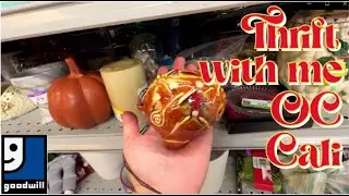 GOODWILL OC California come along thrift shop with me for awesome vintage and useful items
