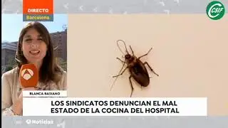 CSIF denuncia el mal estado del hospital Vall d’Hebron: Alcantarillas embozadas y cucarachas