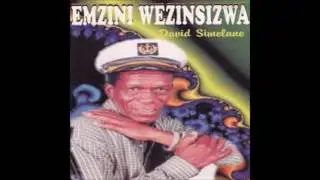 DAVID SIMELANE NYANGA YAMI