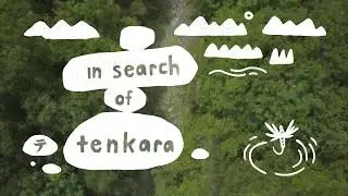 Tenkara USA | In Search Of Tenkara With Jeremy Shellhorn | AvidMax